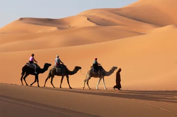 Foto op Plexiglas kameelkaravaan in de saharawoestijn © Vladimir Wrangel