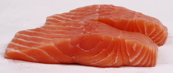 salmon,