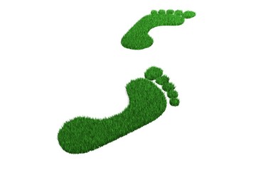 empreintes de pied pelouse