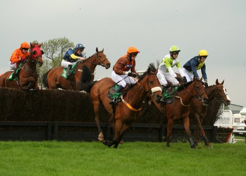 1 145 Best Steeplechase Horse Images Stock Photos Vectors Adobe Stock