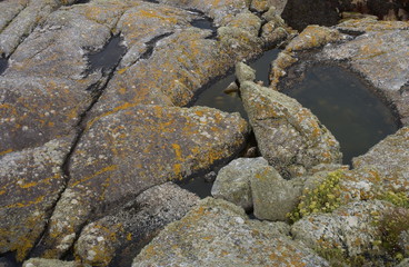 flaque entre les rochers