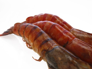 gekochte schiffs kiel garnele