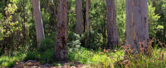 australien_07_0655