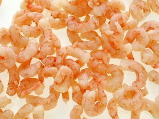 gekochte grönland shrimps © Lucky Dragon