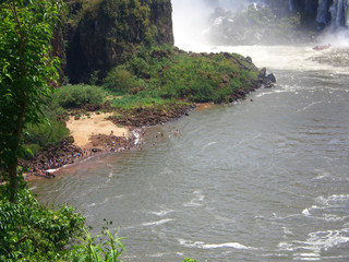 argentine - baignade aux chutes d'iguazu