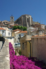 hyères les palmiers