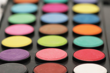painter's palette - shallow depth of field