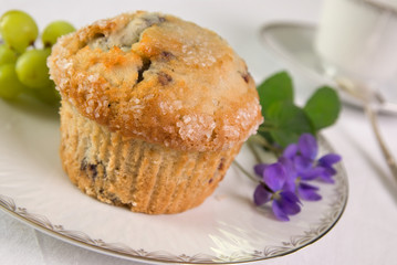 blueberry muffin