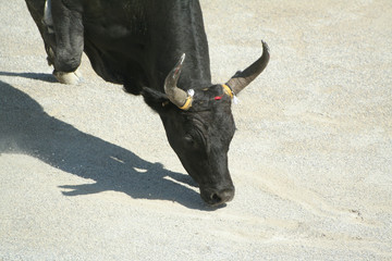 colère