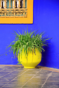 blue wall yellow pot