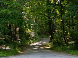 Obraz premium winding road