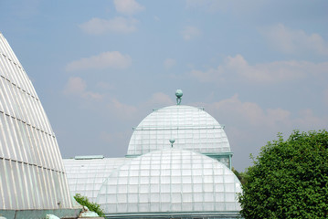 Obraz premium royal greenhouse