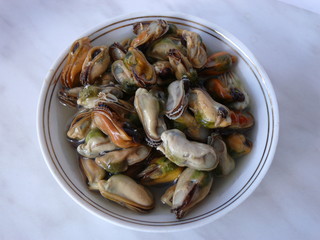 mussel