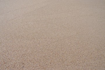 sable purete