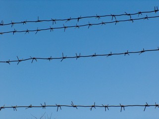 barbwire