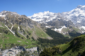 Swiss spring Alps