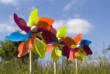farbe im wind