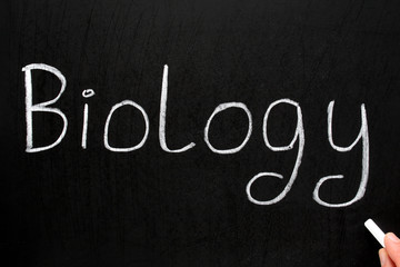 Biology, written with white chalk on a blackboard.