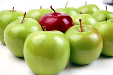 standing out from the crowd