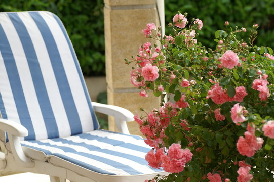 d&eacute;tente pr&egrave;s du rosier