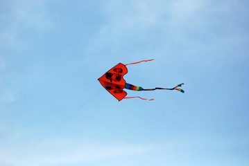 colorful kites flying in the blue skies