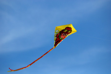 colorful kites flying in the blue skies