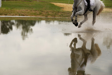 la traversée du gué au galop