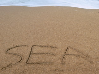 sea