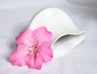 brocca con fiore