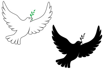 Peace dove