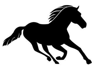 Obraz premium Running horse