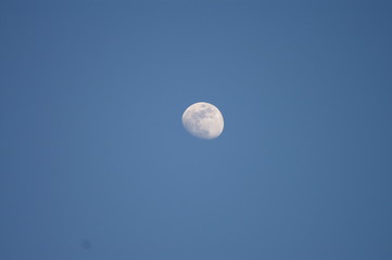 mond