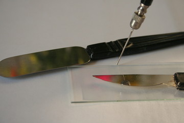 sezierbesteck