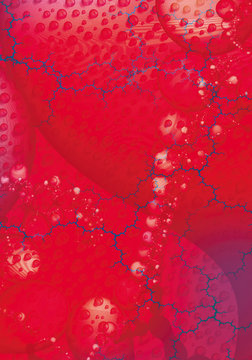 genium fractal
