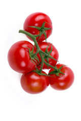 red tomatoes