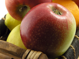 fruits