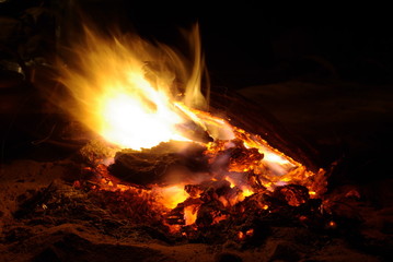 feu de bois au bivouac