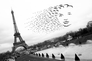 paris'er eiffelturm mit vögeln