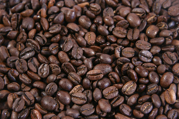 coffee beans galore