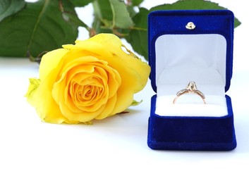 yellow rose with ring