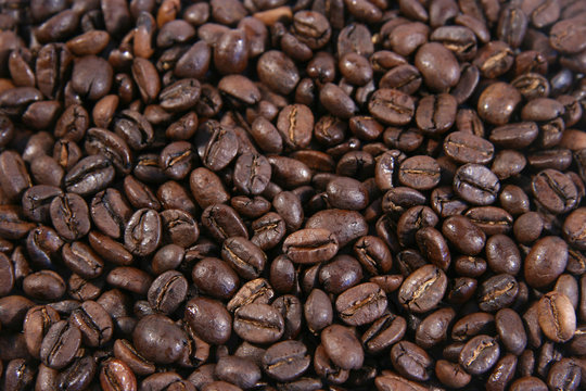 coffee beans galore © phatz