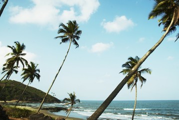 Fototapeta na wymiar indian ocean coast