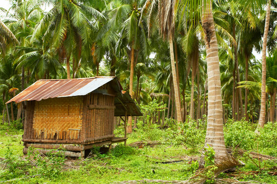coconut villa