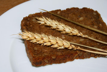 vollkornbrot