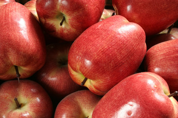 ornamental apples