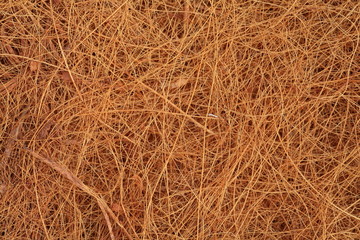 texture filasse