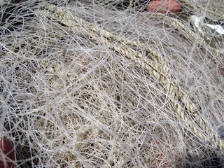 macro fishing net