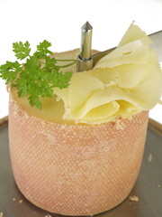 schweizer tete de mointe käse