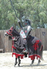 knight & horse