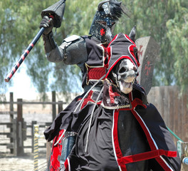 knight & charging horse